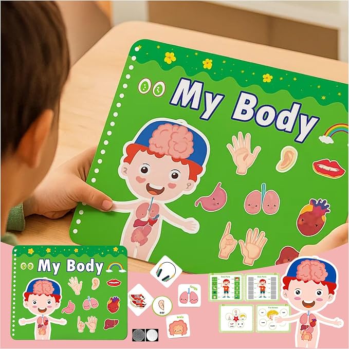 Human Body Anatomy Educational Workbook – Early Learning Materials, 1 Pcs (Green) - Image 5