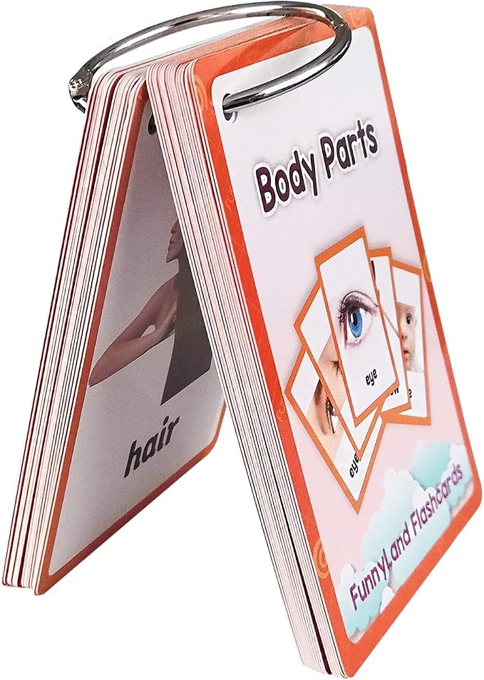 34PCS/Set Body Parts Kids Gifts English Flash Cards Pocket Card Educational Learning Baby Toys for Children Pre-Kindergarten - Image 6