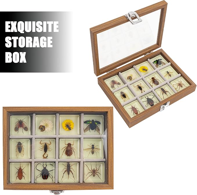 Insect Specimen Set, Bugs Collection Scientific Education Gift for Kids Aged 3-8-12 (12 Pack Glow-in-The-Dark) - Image 3