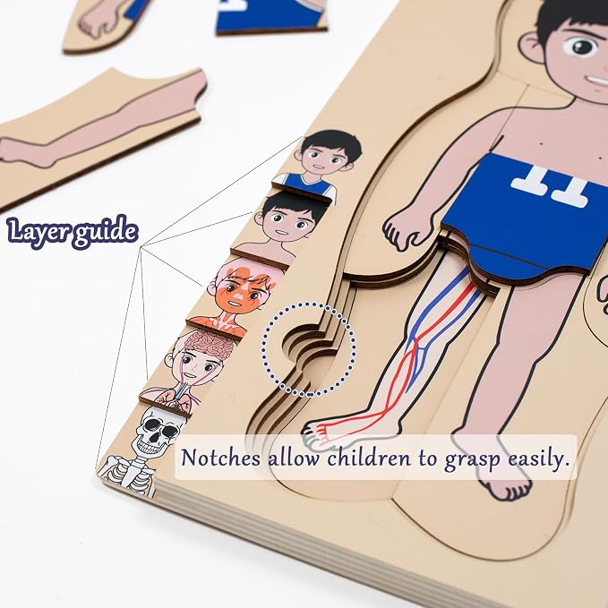 My Body Parts Puzzle for Toddlers Kids Girls Boys Montessori Wooden Anatomy Puzzle 3-6 Years Old Preschool Learning Game Human Body Cognitive Toys - Image 5