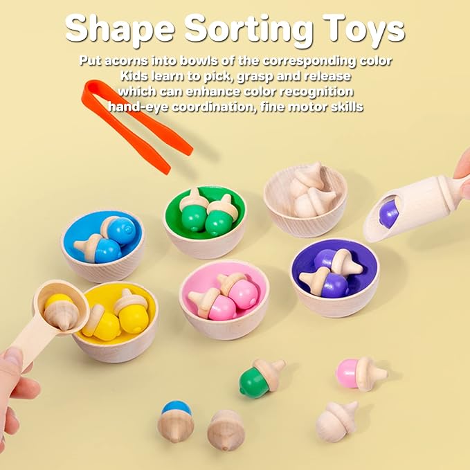 Wooden Color Sorting Toys for Toddlers - Montessori Counting Game with 6 Bowls & 20 Weighted Acorns - DIY Unpainted Pieces - Premium Educational Set with Tweezers, Spoon, Scoop & Bag - Kids 3+ - Image 2