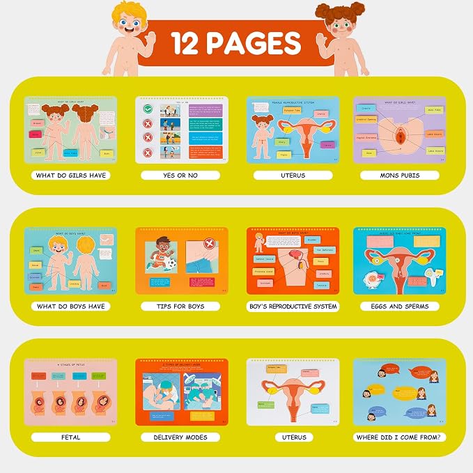 Freebear Montessori Busy Book for Kids, Human Body Anatomy Book for Toddlers, Preshool Kindergarten Learning Activities, Autism Sensory Toys, Gifts for Girls and Boys 4-7 Years- Human Body Procreation - Image 2