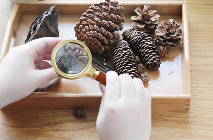 Montessori Nature Exploration Kit, Kids Outdoor Sensory Science Toy - Image 6
