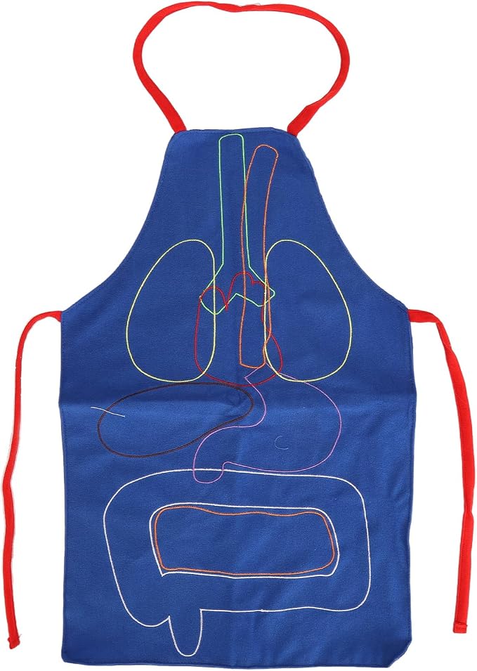 3D Organ Apron Human Body Organs Anatomy Costume DIY Educational Toy Removable Organs Learning Tool for Kids Science Museums Kindergartens Parent Child Games Polyester Material - Image 5