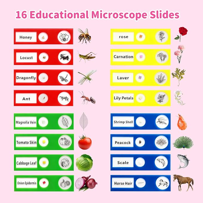 BLACKROOT Microscope for Kids, 2.4" Handheld Digital Pocket Microscope - Image 6