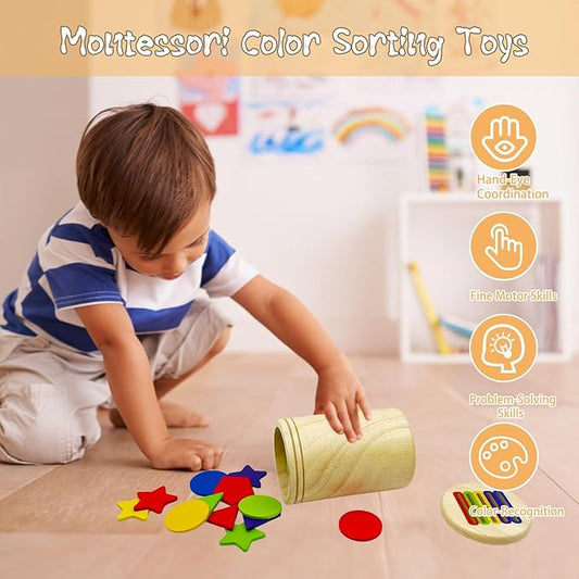 Wooden Montessori Sticks Toys for Kids, 8 Colors Natural Wood Toddler Learning Sorting Toys for 3 Year Old, Sensory Matching Game Birthday Gifts for Boys Girls (Multi-Shaped Flake)