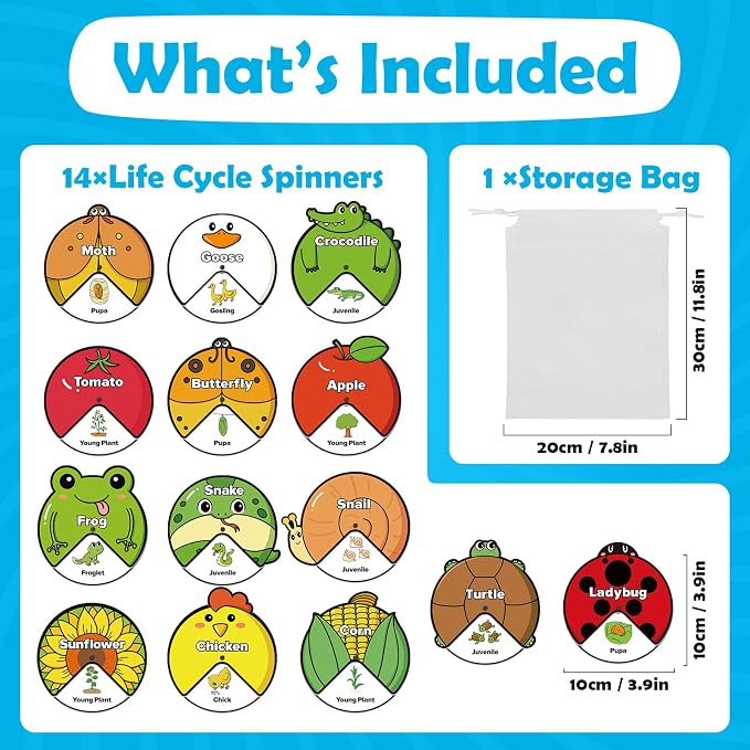Kasfalci Life Cycle Toys for Kids,Back to School Supplies,Animal Plant Insect Bug Ladybug Butterfly Tadpole to Frog Kit,Montessori Learning & Education Toys,Preschool Science Learning Activities - Image 6