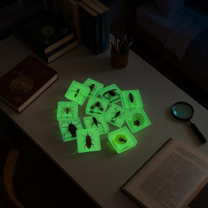 Insect Specimen Set, Bugs Collection Scientific Education Gift for Kids Aged 3-8-12 (12 Pack Glow-in-The-Dark) - Image 5