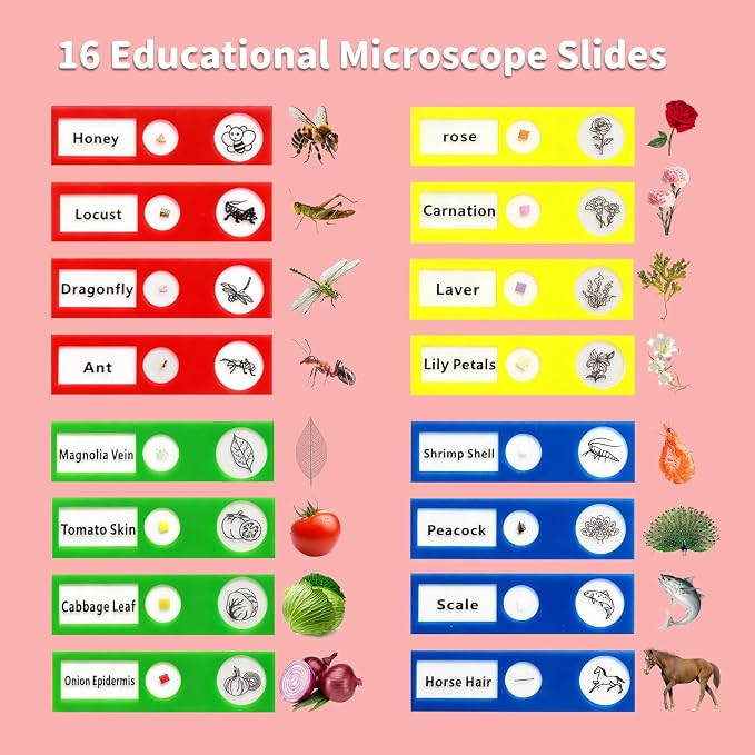 BLACKROOT Microscope for Kids, 2.4" Handheld Digital Pocket Microscope - Image 8