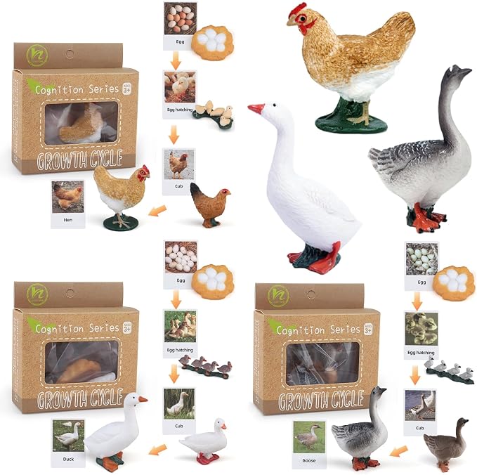 Montessori Life Cycle Animal Figurines Learning & Education Toys, Plastic Insect Life Cycle Toys, Preschool Learning Activities (Hen Goose Duck) by MIKNEKE