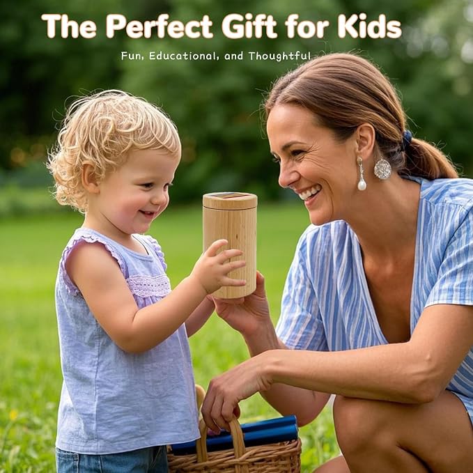 Montessori Shape & Color Sorting Montessori Toys for Toddlers 3, Wooden Fine Motor Skills Sensory Toy Preschool Learning Toys Travel Gift for Boys and Girls (Wooden Set) - Image 7
