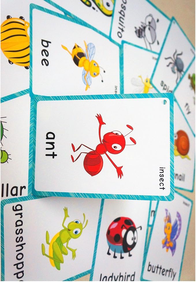 SANTSUN 14 Insects and Bugs Flashcards for Kindergarten Classroom Decoration Background Wall Stickers Teach Flash Card & Daycare Decorations Learning Cards - Image 5