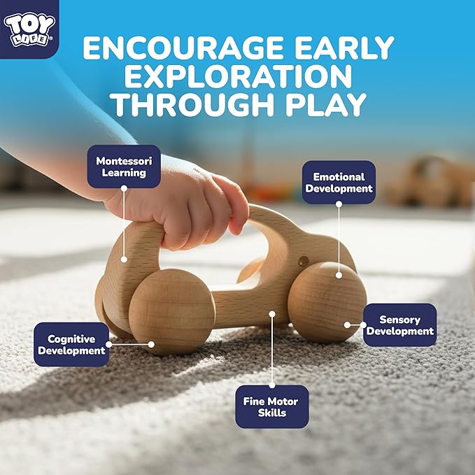 TOY Life Wooden Toys Cars, Montessori Baby Toys 6-12 Months, Wooden Baby Toys Rattle Cars for Toddlers 1-3, Baby Boy Nursery Decor, Montessori Toys for 1 Year Old Boy (6 PCS Rattle Set)