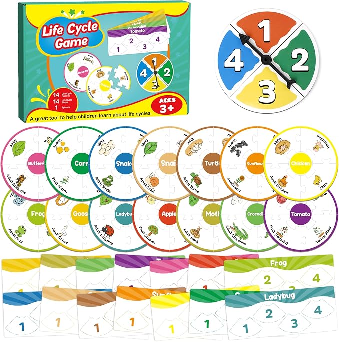 Edulok Life Cycle Toys for Kids, Toddler Puzzles, Preschool Science Kits for Kids 3-5, Kindergarten Learning Activities, Learning Education Toys, PreK Classroom Essentials, Homeschool Supplies - Image 8