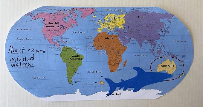 SHAPES ETC. 8" x 16" World Practice Maps Pad, Labeled, Blue, 30 Sheets - Image 8