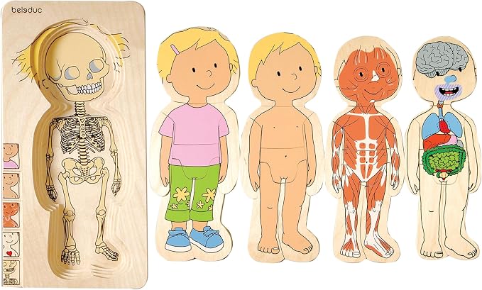 Anatomy Layered Wooden Puzzles – Boy & Girl Set, 5 Layers, Human Body Learning for Ages 4+ - Image 3