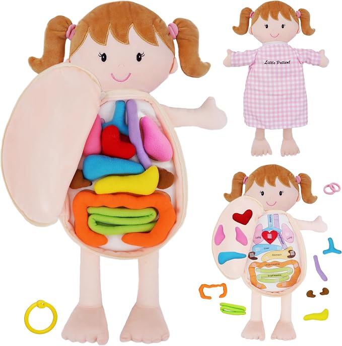 June Garden 18" Little Patient Emily Plush Anatomy Doll - Soft Educational Toy with Removable Human Organs - Learn Basic Anatomy for Toddlers and Kids by JuneGarden
