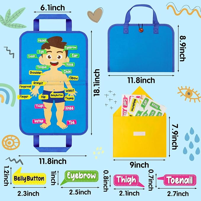 WATINC Body Parts Learning Portable Felt Story Board Set, 32PCS Preschool Human Organ Educational Teaching Storytelling Travel Board, Early Interactive Play Kit Gift for Toddler Kid (White) - Image 2
