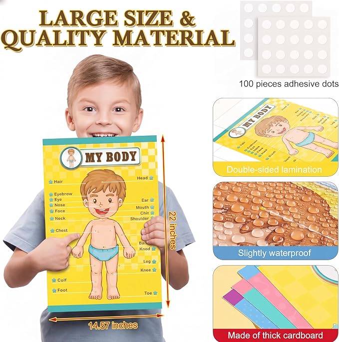 Human Body Educational Learning Posters Body Parts Wall Chart for Kids - Image 2