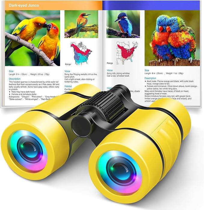 Toys for 3-7 Year Old Girl Boy: LET'S GO! Bird Watching Binoculars for Kids Ages 3 4 5 6 7 Year Old Girls Boys Outside Learning Toy for Kid Christmas Preschool Gift Toddler Binoculars Toy Stuffers by LETSGO