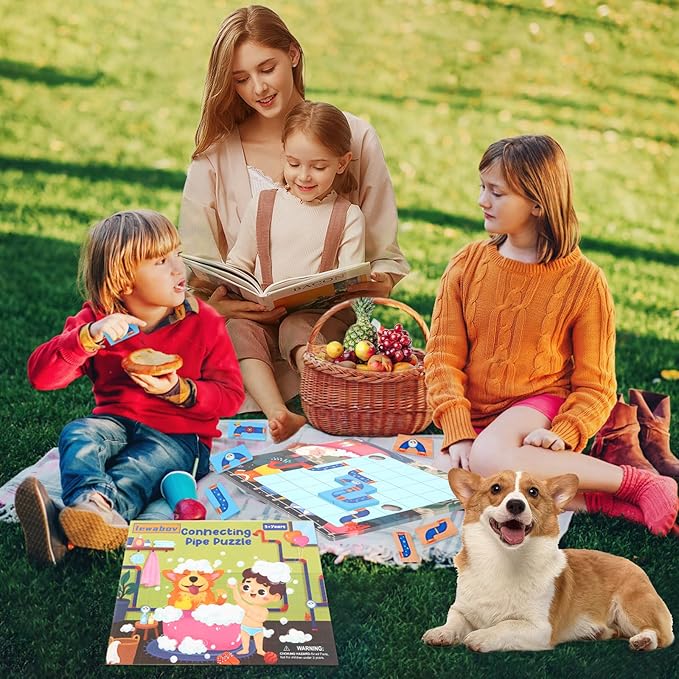 Logical Puzzle,Sequence Matching Game,with Cards（30 Scenes）,STEM Educational Toys for Kids,Stocking Stuffers for Boys & Girls,Logic Labyrinth Games for Adults and Kids(2 Puzzles).