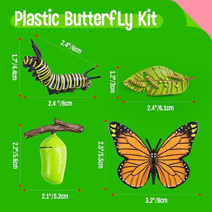 15 Butterfly Life Circle Flashcards with 4 Plastic Figurines, Butterflies Introduction Cards Plastic Insects Egg to Butterfly Kit Toy for Kids, Adults, Animal Lovers - Image 3