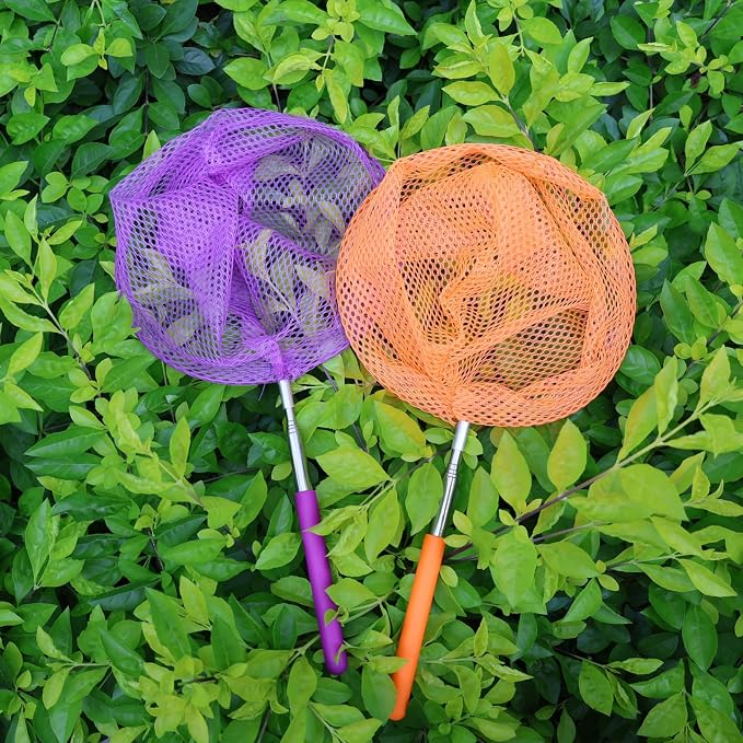 2 Pack Insect Catching Nets, Telescopic Stainless Steel Pole, Fishing Nets,Butterfly Nets, Nature Exploration Toys for Kids Outdoor Playing - Image 6