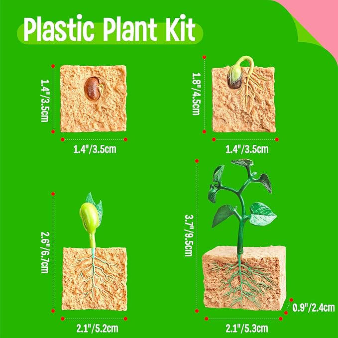 15 Plant Life Circle Flashcards with 4 Plastic Figurines-Seed to Plant, Plants Introduction Card Plants Growth Details for Nature Lovers & Adults, Montessori Toy for Kids - Image 3