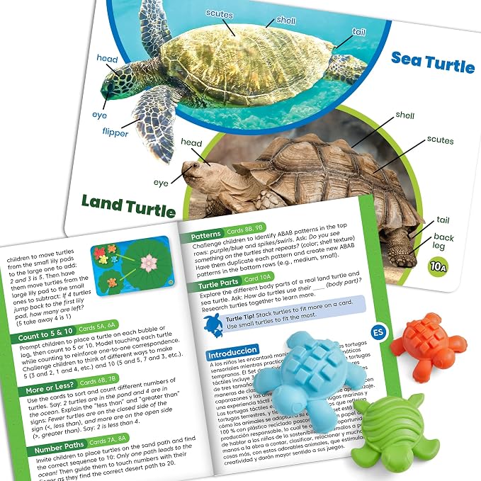 hand2mind Tactile Turtles Math Activity Set, Toddler Numbers and Counting, Math Counters for Kids, Color Sorting Toys, Sensory Turtle Game, Preschool Learning Activities, Montessori Math Materials - Image 6