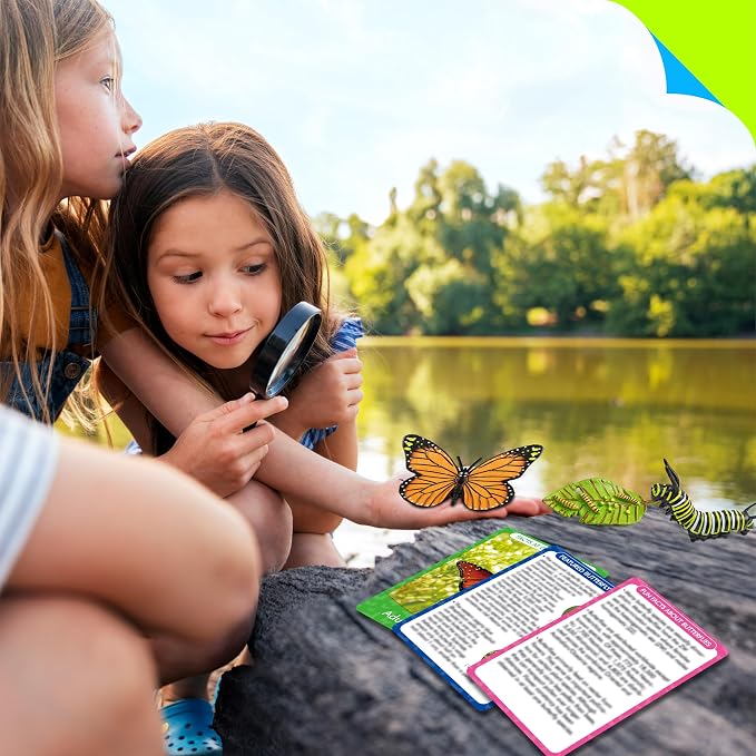 15 Butterfly Life Circle Flashcards with 4 Plastic Figurines, Butterflies Introduction Cards Plastic Insects Egg to Butterfly Kit Toy for Kids, Adults, Animal Lovers - Image 7