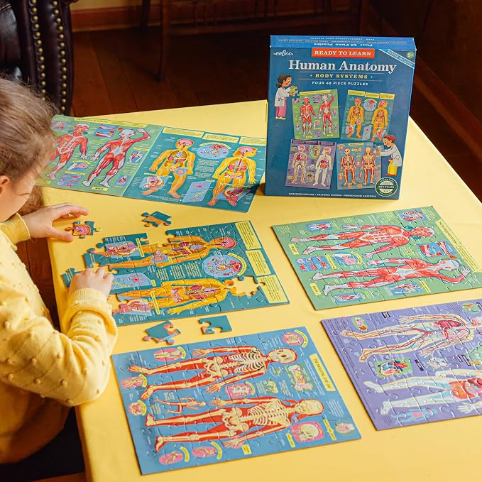 eeBoo Human Anatomy 48 Giant Piece Children's Puzzle, Four 12 PC Puzzles - Image 4