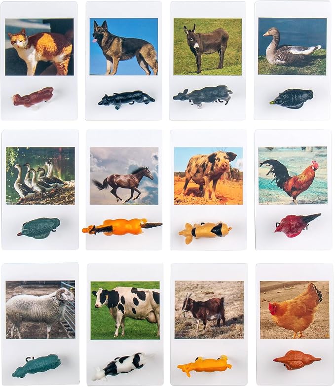 MEROCO Non Identical Matching Cards Poultry Animals Kids Preschool - Image 2