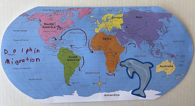 SHAPES ETC. 8" x 16" World Practice Maps Pad, Labeled, Blue, 30 Sheets - Image 7