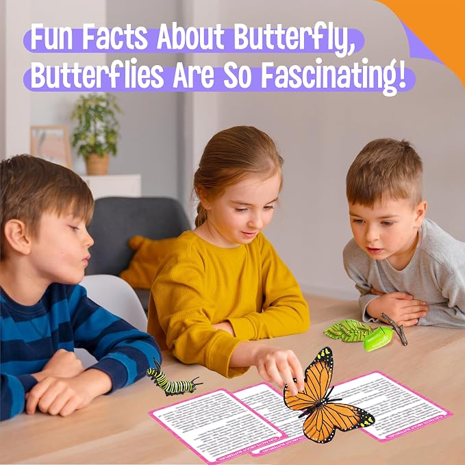 15 Butterfly Life Circle Flashcards with 4 Plastic Figurines, Butterflies Introduction Cards Plastic Insects Egg to Butterfly Kit Toy for Kids, Adults, Animal Lovers - Image 6