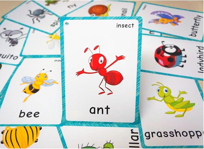 SANTSUN 14 Insects and Bugs Flashcards for Kindergarten Classroom Decoration Background Wall Stickers Teach Flash Card & Daycare Decorations Learning Cards - Image 3