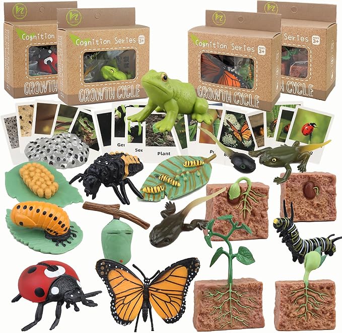 Mbrain Life Cycle Learning & Education Toys,Montessori Toys Figurines for Frog, Butterfly, Ladybug,Plants Kit,Gift for Girl & Boy for 3 4 5 Year Old by Mbrain