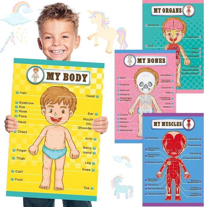 Human Body Educational Learning Posters Body Parts Wall Chart for Kids by Outus