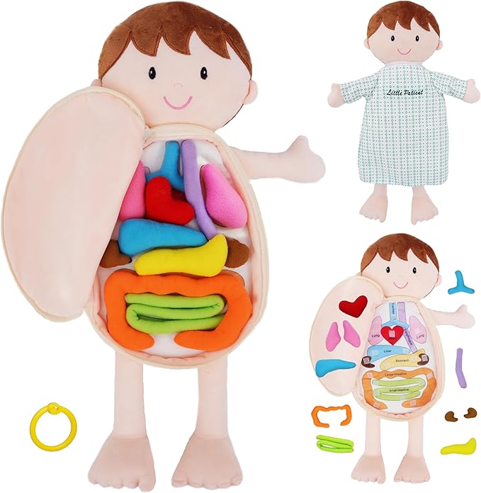 June Garden 18" Little Patient Lucas Plush Anatomy Doll - Soft Educational Toy with Removable Human Organs - Learn Basic Anatomy for Toddlers and Kids by JuneGarden