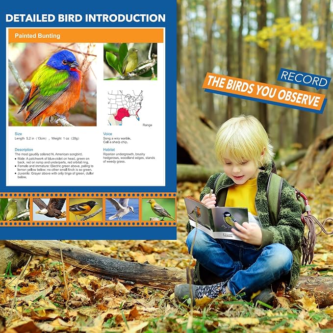 Toys for 3-7 Year Old Boys: LET'S GO! Binoculars for Kids with Bird Watching Manual Easter Birthday Gifts for 4 5 6 7 8 Year Old Boy Girls Outdoor Toy for Kid Ages 5-7 Toddler Camping Telescope - Image 4