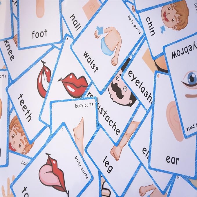 SANTSUN 36 Pieces of My Body Parts Flash Cards for Toddlers- The Flash HolePunched- So You can sort and Organize The Cards Easily and Early Learning Kindergarten Teacher Tools - Image 5