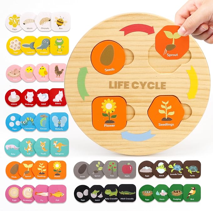 Woodtoe Life Cycle Toys, 12 Themes Montessori Science Toys for Kid Ages 3-6 by Woodtoe