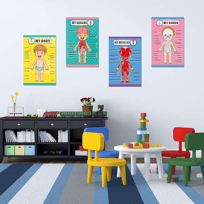 Human Body Educational Learning Posters Body Parts Wall Chart for Kids - Image 6