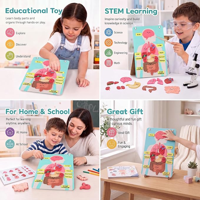 Back to School Gift Human Body Anatomy Felt Board Set, 15.55 x 9.84 in Student Cartoon Detachable Organ Model with 19 Felt Pieces, Wall Hanging Educational Teaching Aid - Image 6