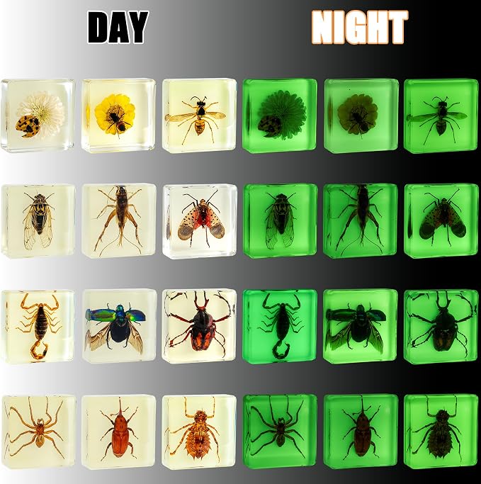 Insect Specimen Set, Bugs Collection Scientific Education Gift for Kids Aged 3-8-12 (12 Pack Glow-in-The-Dark) - Image 2
