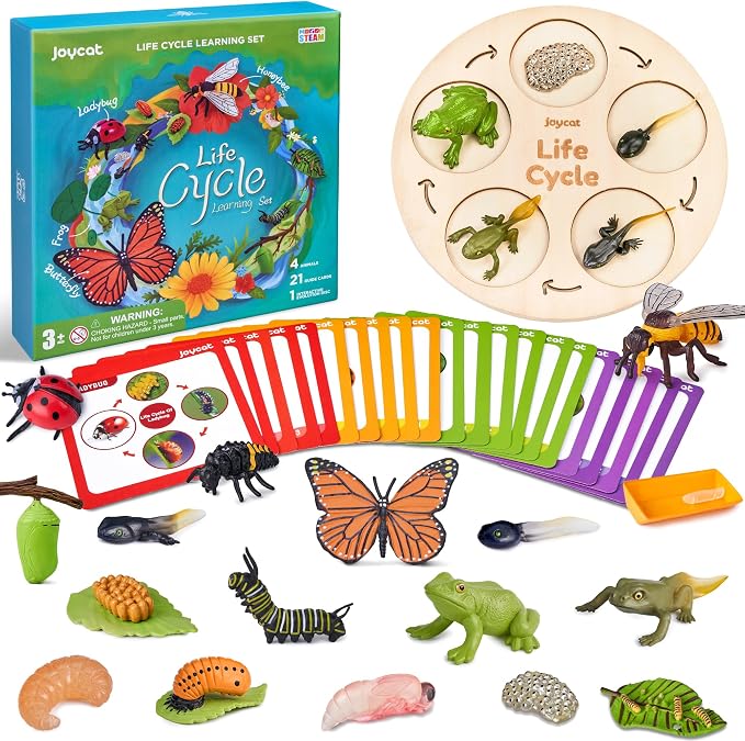 JoyCat Life Cycle Learning Education Toys, Insect Caterpillar to Butterfly kit, Ladybug, Bee, Tadpole to Frog Kit Life Cycle Toys for Kids, Preschool Learning Activities for Age 3 4 5 6 7 8 by JOYCAT