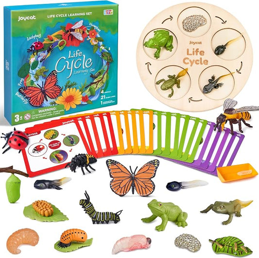 JoyCat Life Cycle Learning Education Toys, Insect Caterpillar to Butterfly kit, Ladybug, Bee, Tadpole to Frog Kit Life Cycle Toys for Kids, Preschool Learning Activities for Age 3 4 5 6 7 8 by JOYCAT