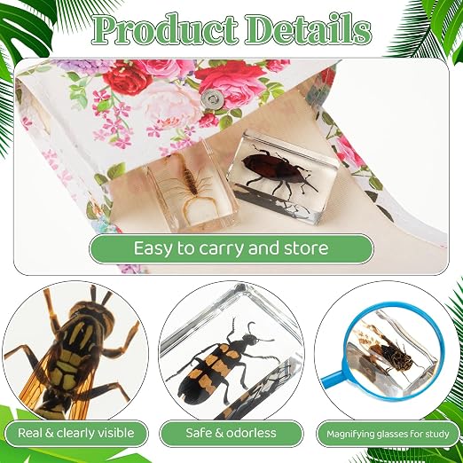 GlikCeil 50 Pcs Insect in Resin Specimen Various Bugs Collection Paperweights Bug Kit Preserved in Resin with 3 Magnifier Marine Animal Specimens for Kids Scientific Educational Display Collection - Image 3