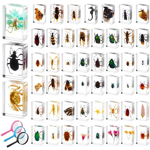 GlikCeil 50 Pcs Insect in Resin Specimen Various Bugs Collection Paperweights Bug Kit Preserved in Resin with 3 Magnifier Marine Animal Specimens for Kids Scientific Educational Display Collection by GlikCeil