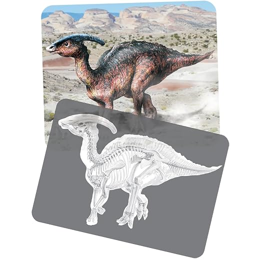 Dinosaur Picture Cards & X-Rays – 24-Piece STEM Paleontology Learning Set for Science, Anatomy & Early Childhood Education - Image 2