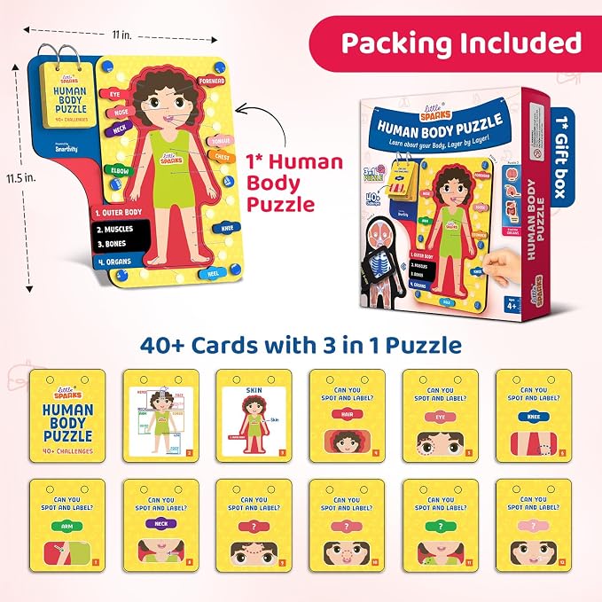 Smartivity Human Body Anatomy Puzzle for Kids 4-7 Years - Image 5